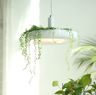 Plant Pendant Hanging Lights - Illuminate Your Space-GraffitiWallArt