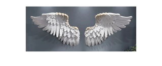 Angel Wings Wall Hanging Art